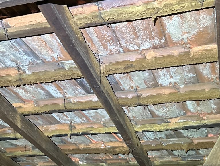Chemical Delignification Of Roof Tile Battens Featured